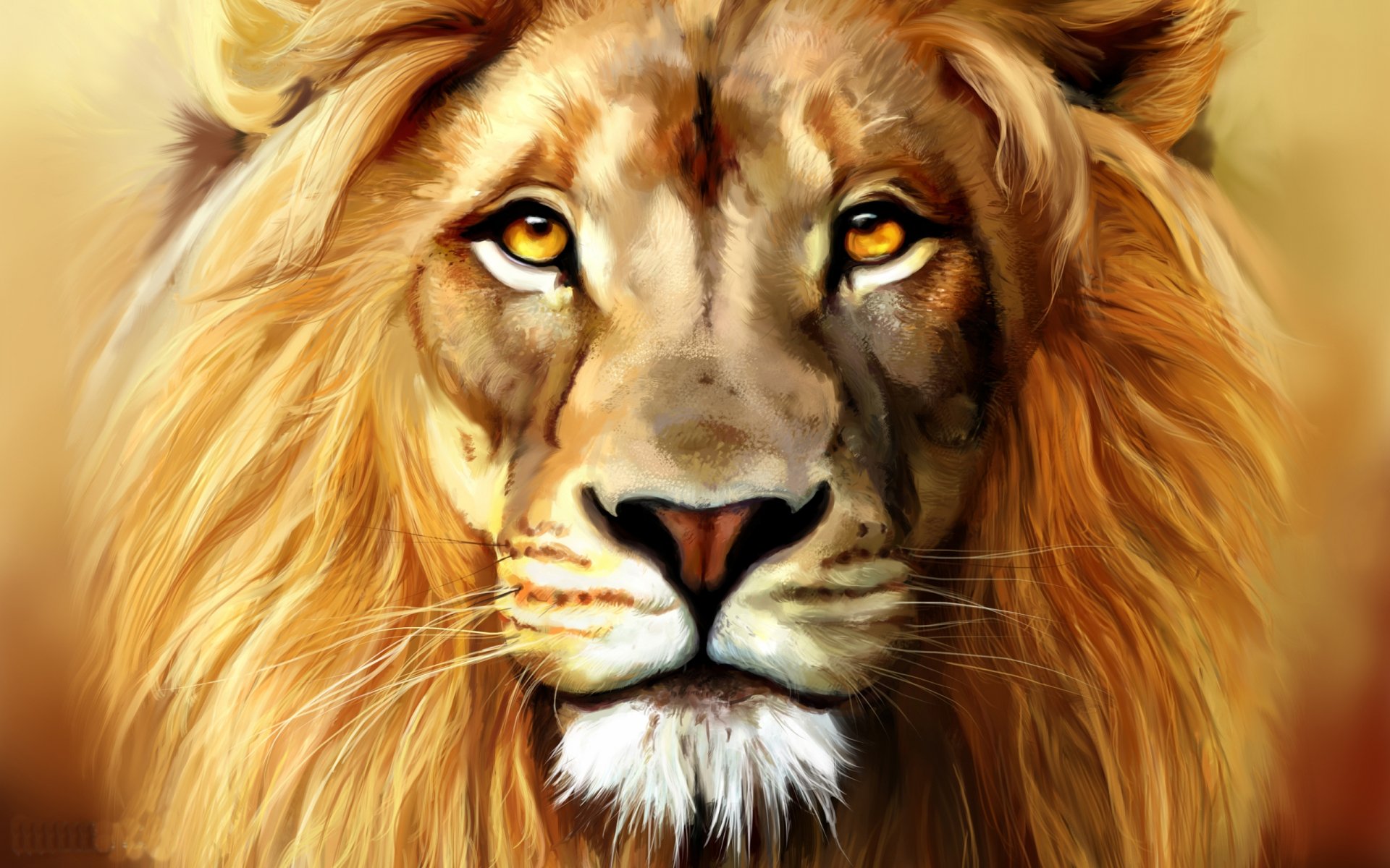lion-full-hd-wallpaper-and-background-image-2560x1600-id-179309