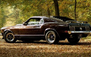 80 Ford Mustang Mach 1 Hd Wallpapers Background Images