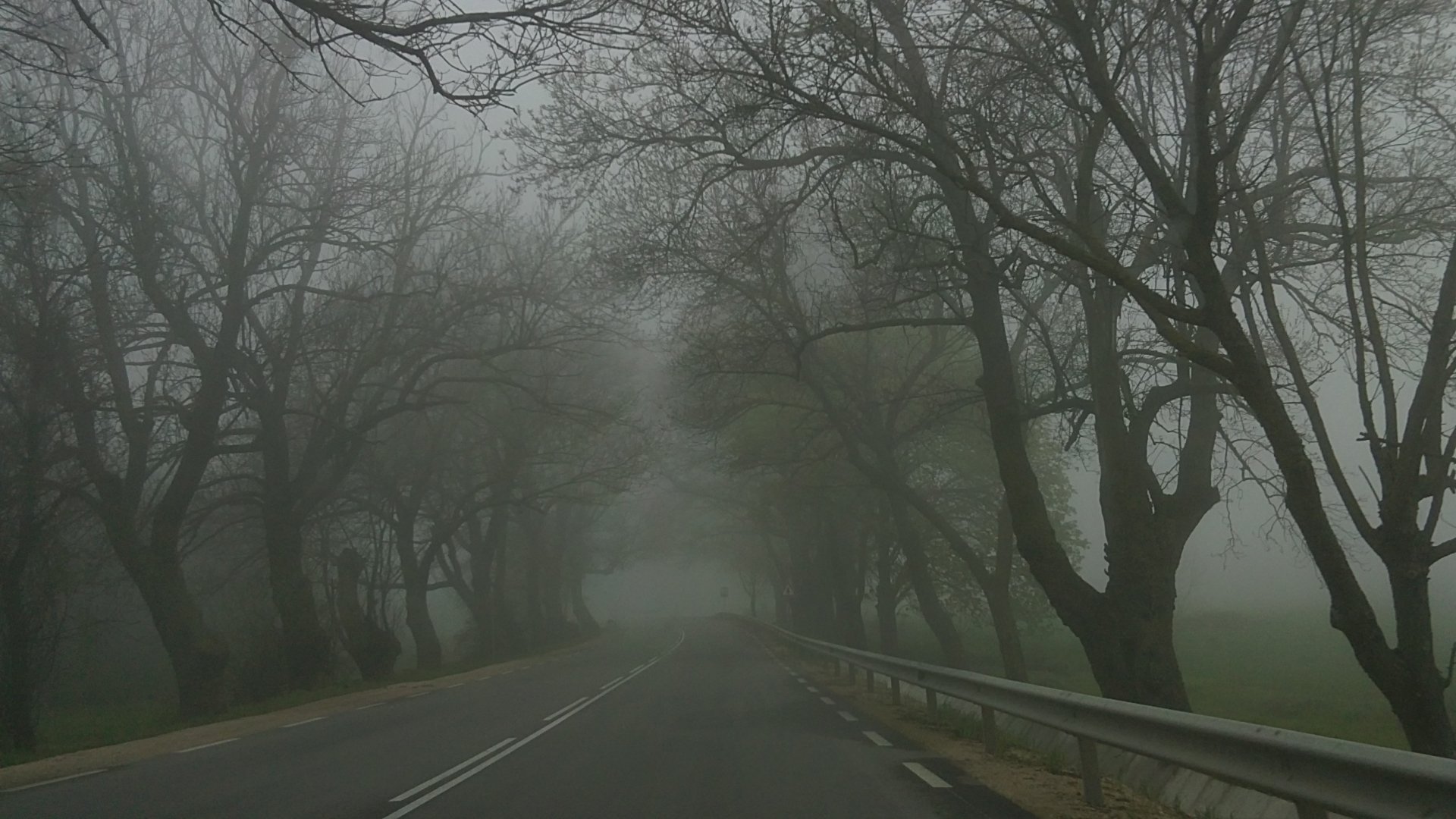 Download Fog Photography Man Made Road HD Wallpaper by mitko935