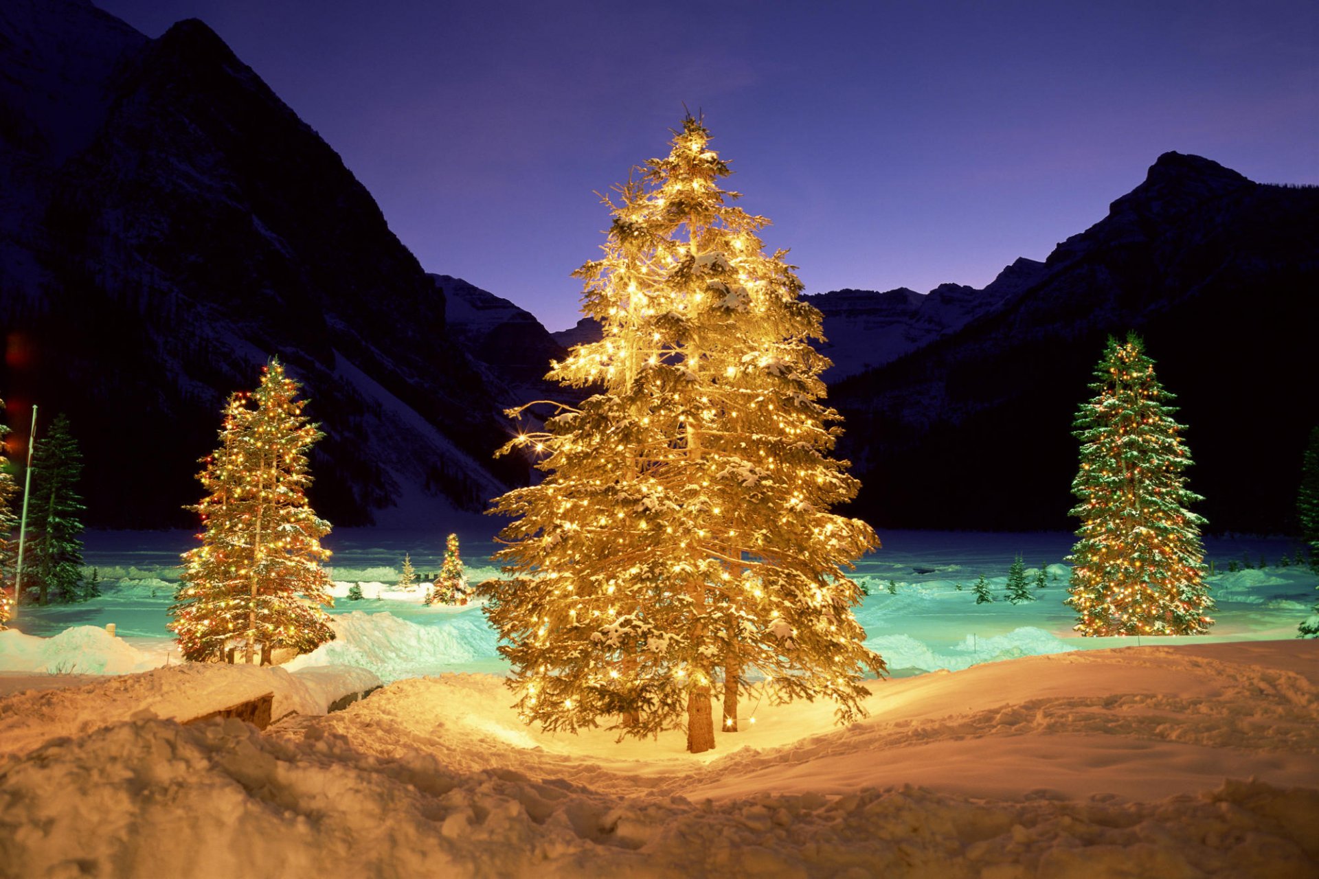 A beautifully lit Christmas tree stands amidst a snowy landscape and mountains, creating a serene holiday atmosphere. This HD wallpaper captures the essence of Christmas cheer.