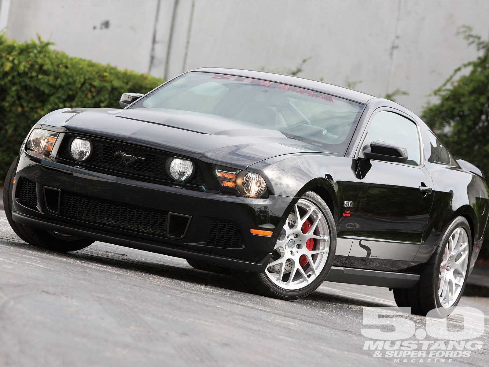 Download Vehicle Ford Mustang  Wallpaper