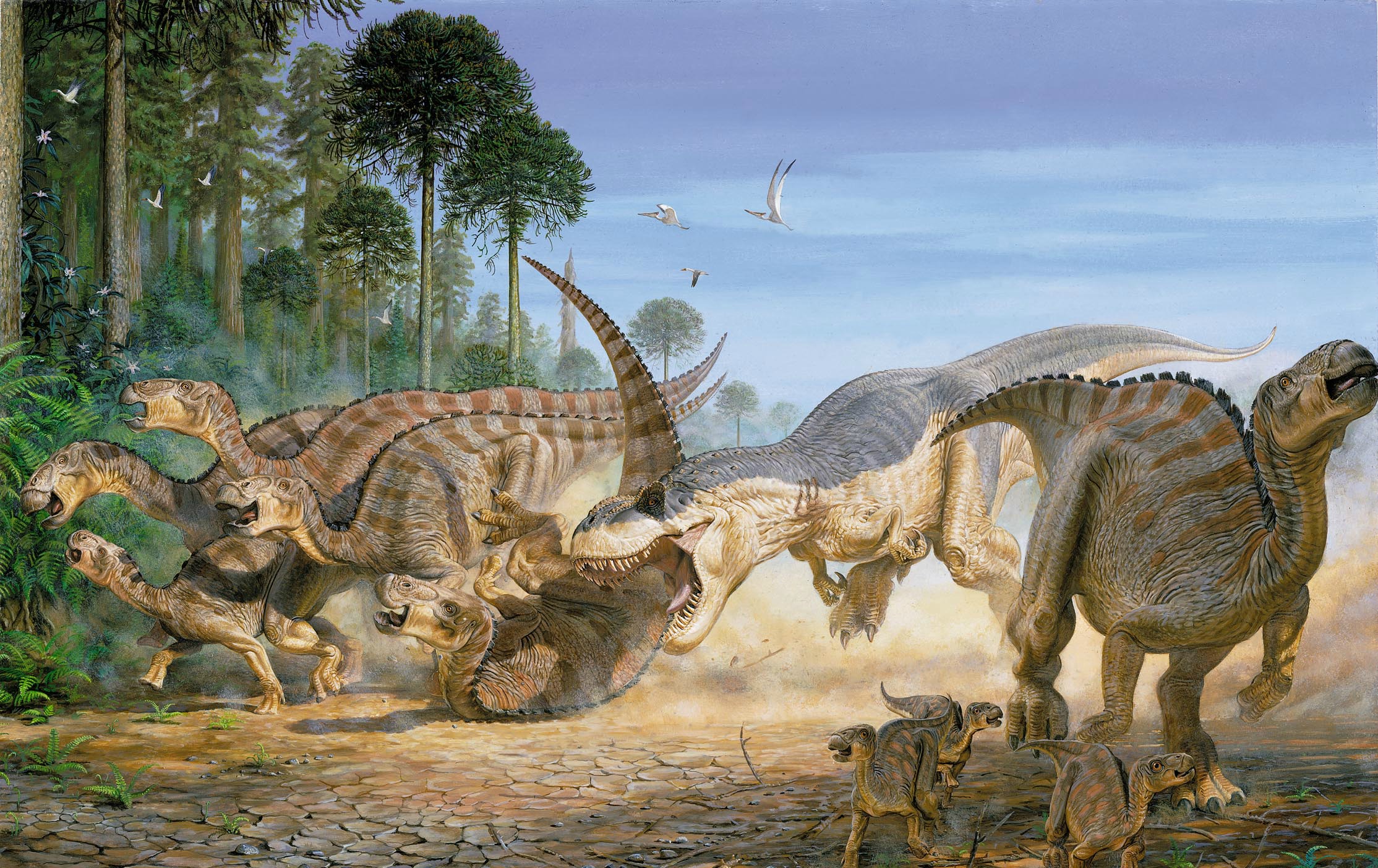 Animal Dinosaur HD Wallpaper | Background Image