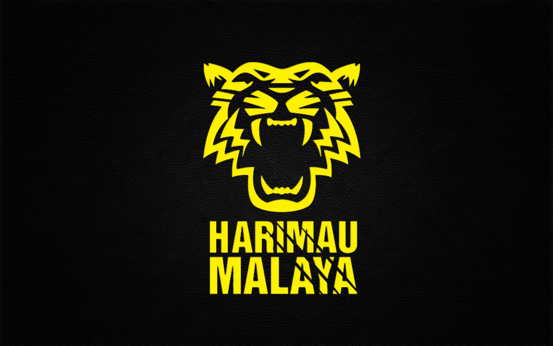 Malaysia football