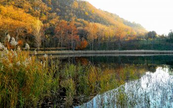 51 大自然高清壁纸 桌面背景 Wallpaper Abyss