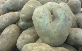 30 Potato HD Wallpapers | Background Images - Wallpaper Abyss