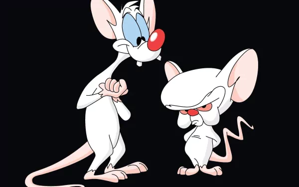 Pinky And The Brain Wallpapers