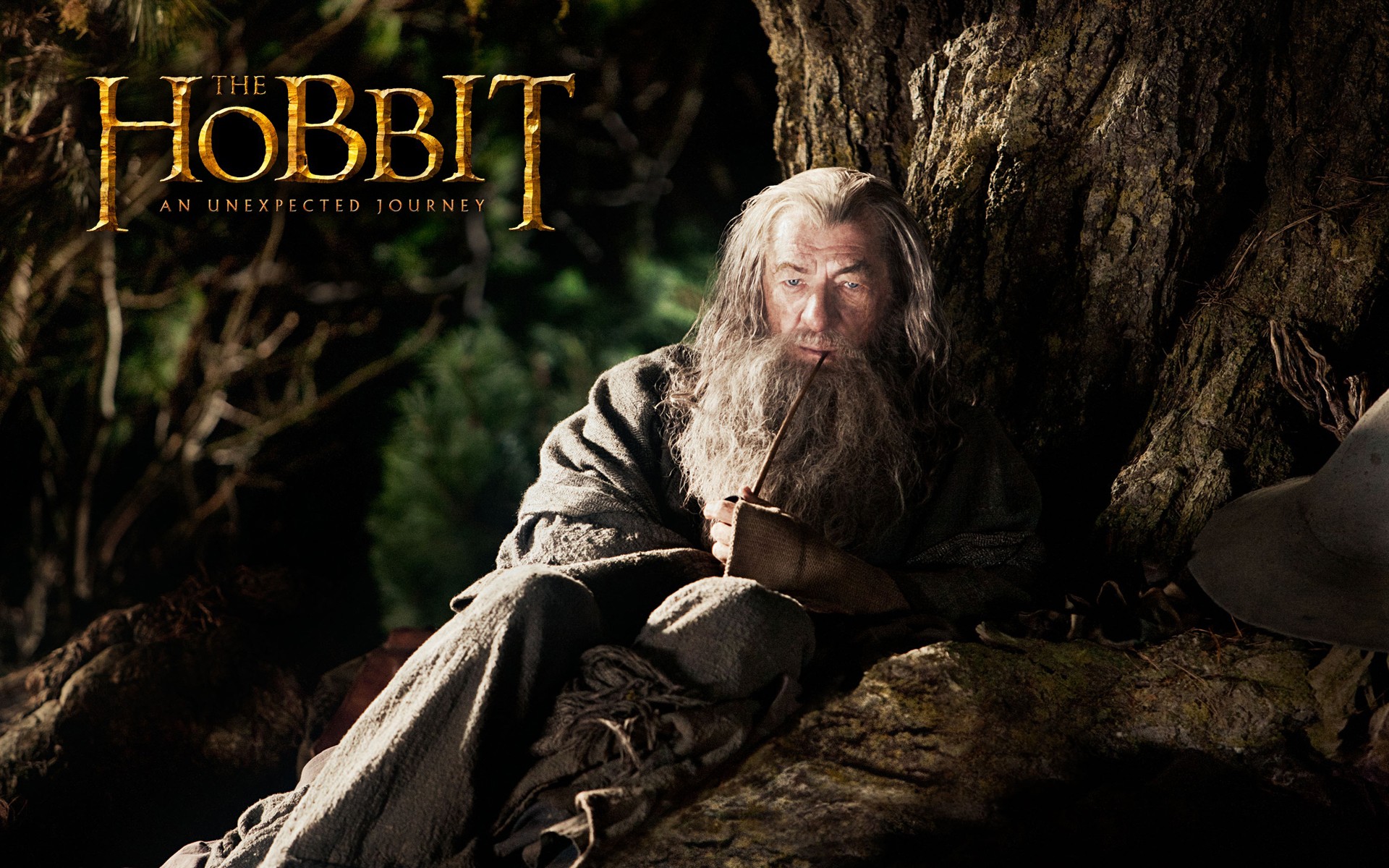 Movie The Hobbit: An Unexpected Journey HD Wallpaper