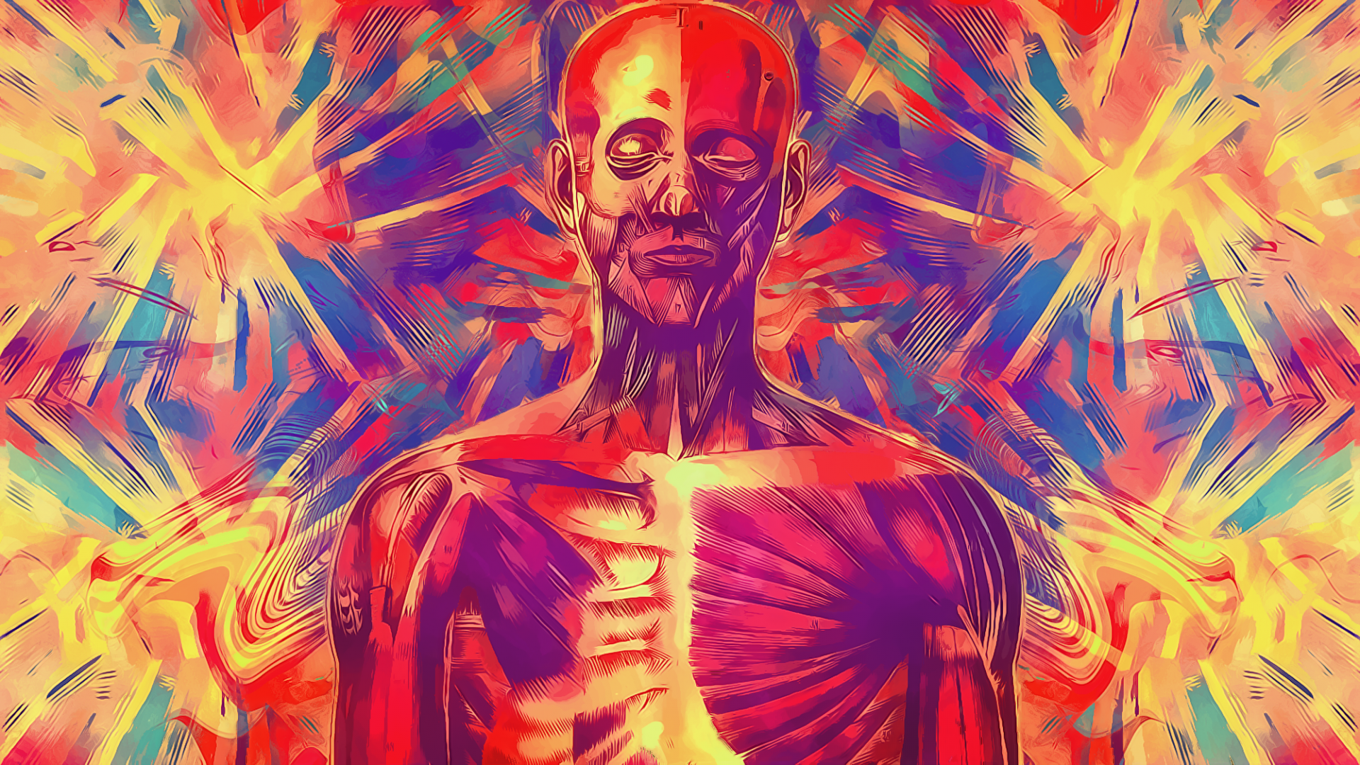 human anatomy wallpaper art