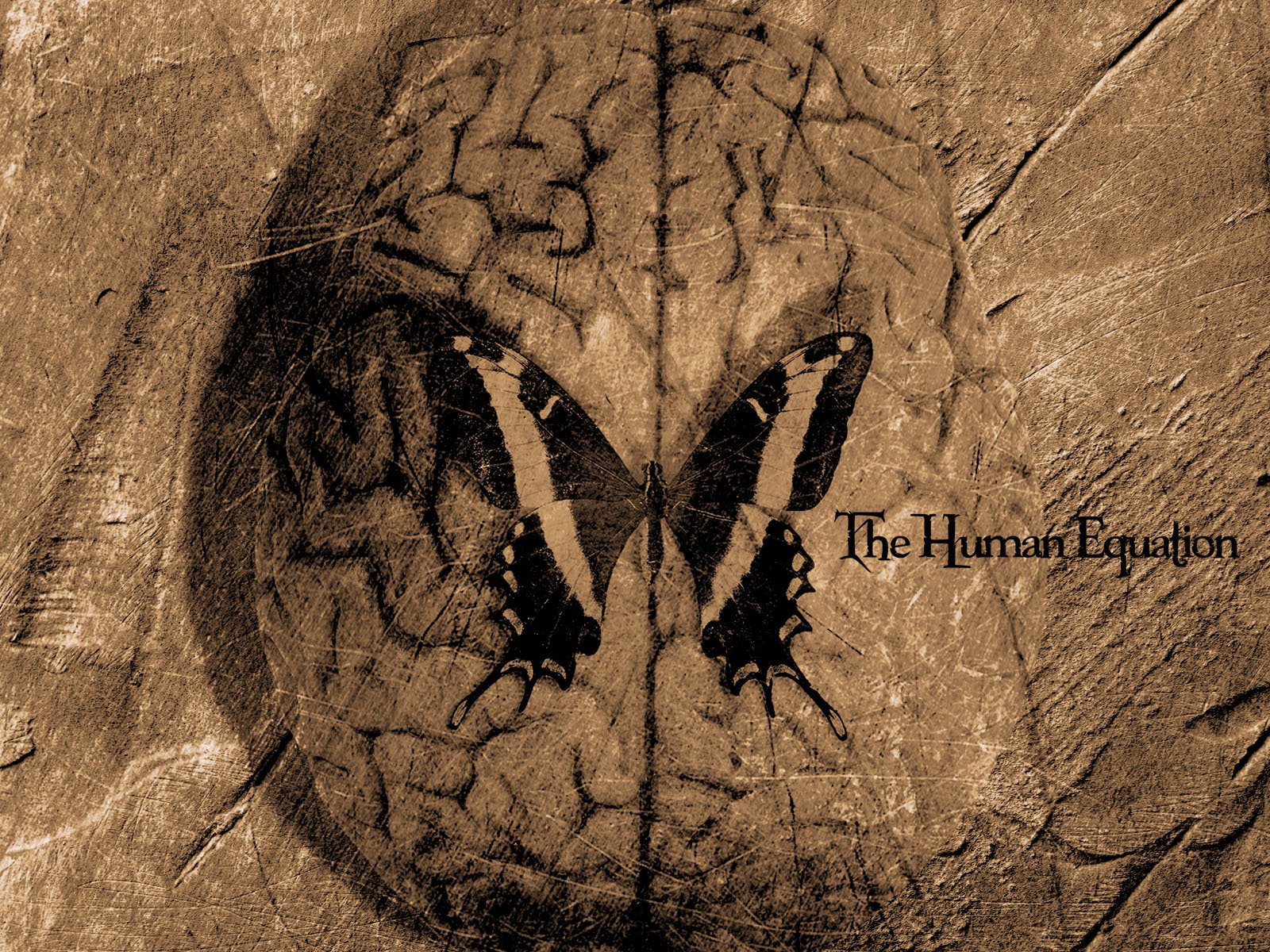 Download Music Ayreon Wallpaper