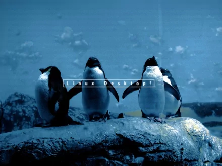 A high-definition desktop wallpaper featuring four penguins on a rocky surface, with a cool blue background and the text Linux Desktop integrated into the design.