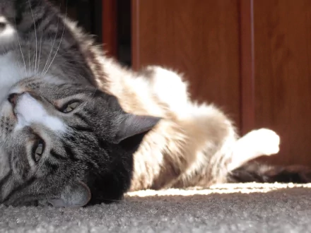  Sunnin'
