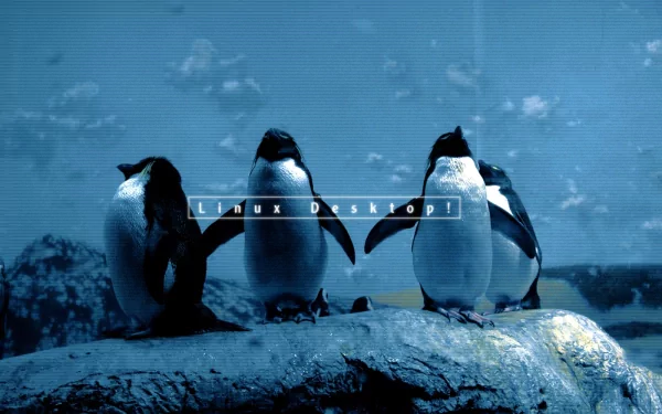 A high-definition desktop wallpaper featuring four penguins on a rocky surface, with a cool blue background and the text Linux Desktop integrated into the design.
