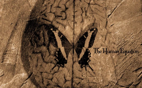 music Ayreon HD Desktop Wallpaper | Background Image