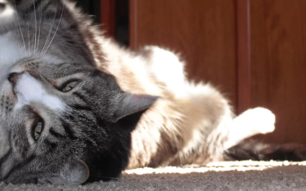  Sunnin'