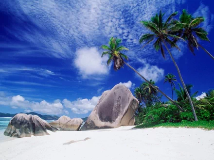 HD desktop wallpaper featuring a pristine beach with white sand, towering palm trees, and large rocks, with the ocean and a vibrant blue sky in the background.