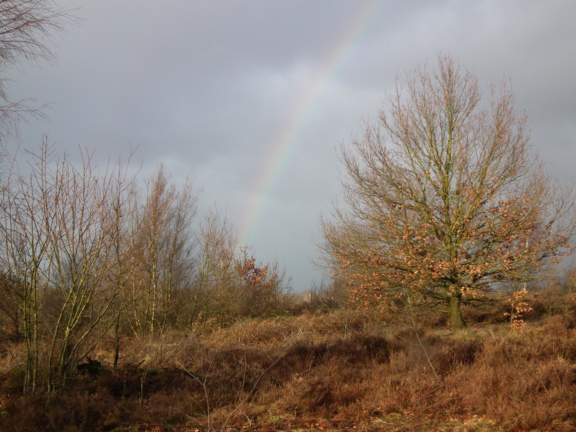 Download Nature Rainbow HD Wallpaper by Roxyshots