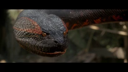 Close-up of a menacing anaconda from the movie Anaconda. The HD wallpaper showcases the snake's detailed scales and expressive eyes, set against a natural background.