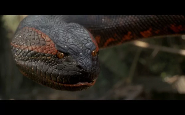 Close-up of a menacing anaconda from the movie Anaconda. The HD wallpaper showcases the snake's detailed scales and expressive eyes, set against a natural background.