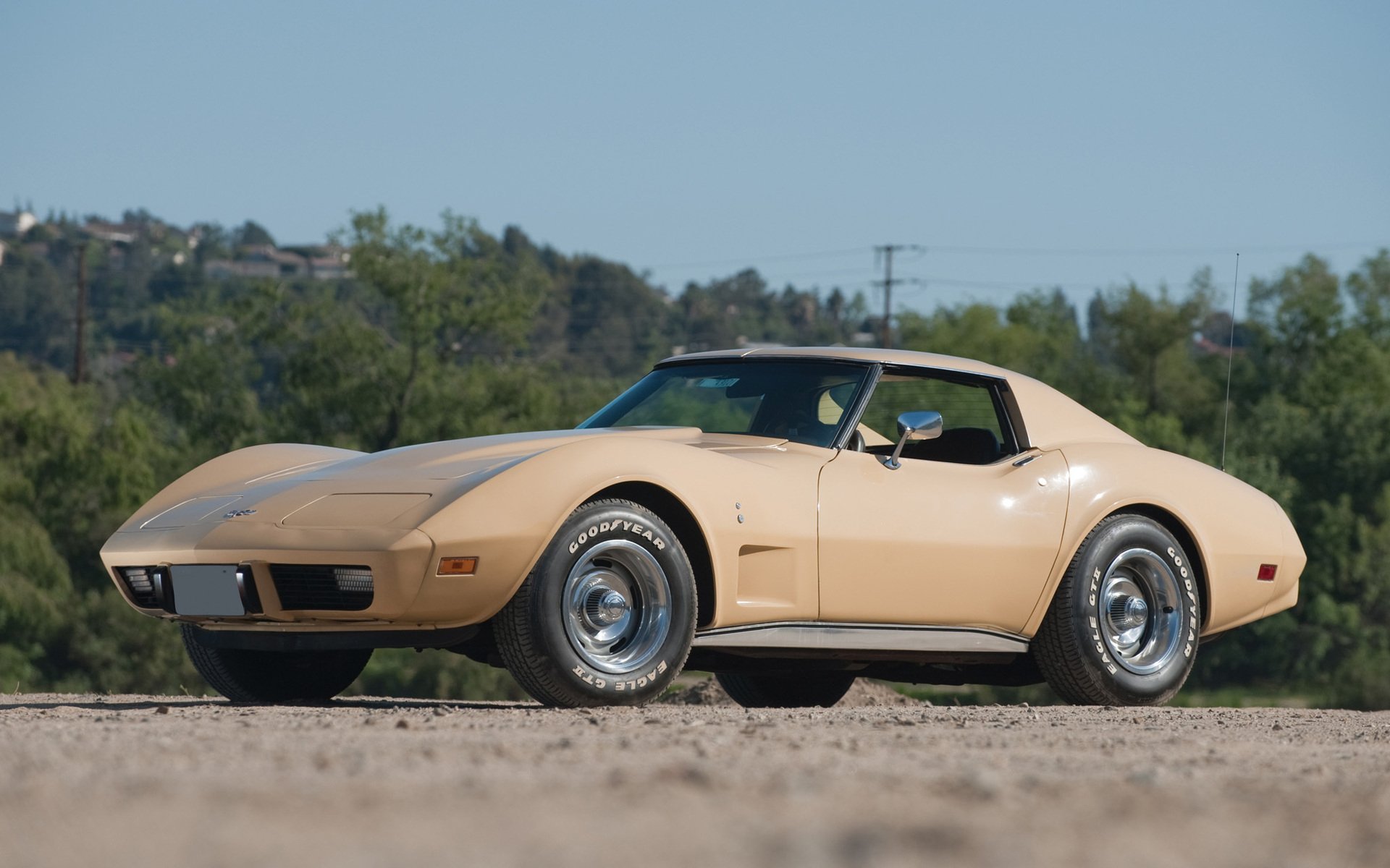 Chevrolet Corvette 1981