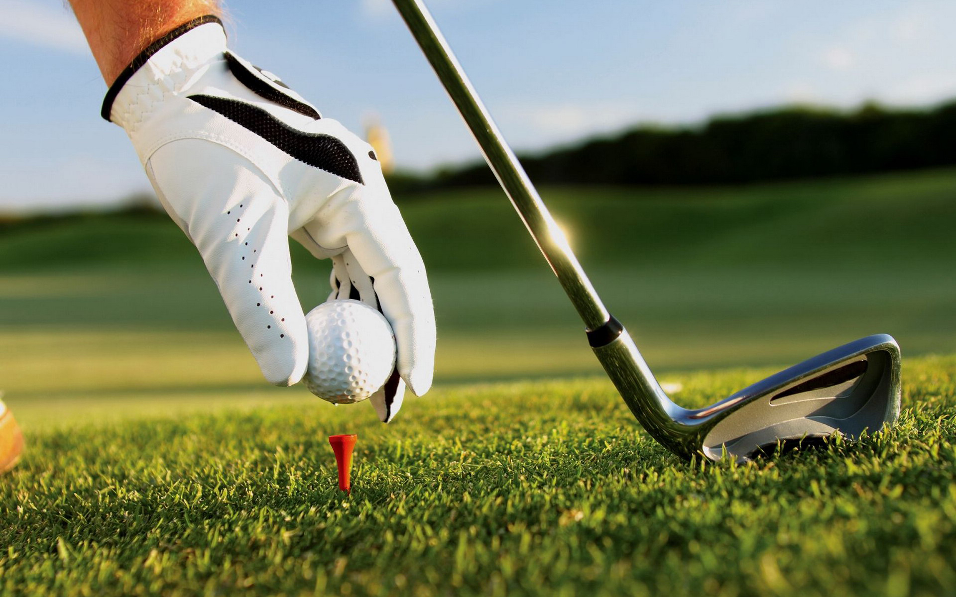 Sports Golf HD Wallpaper