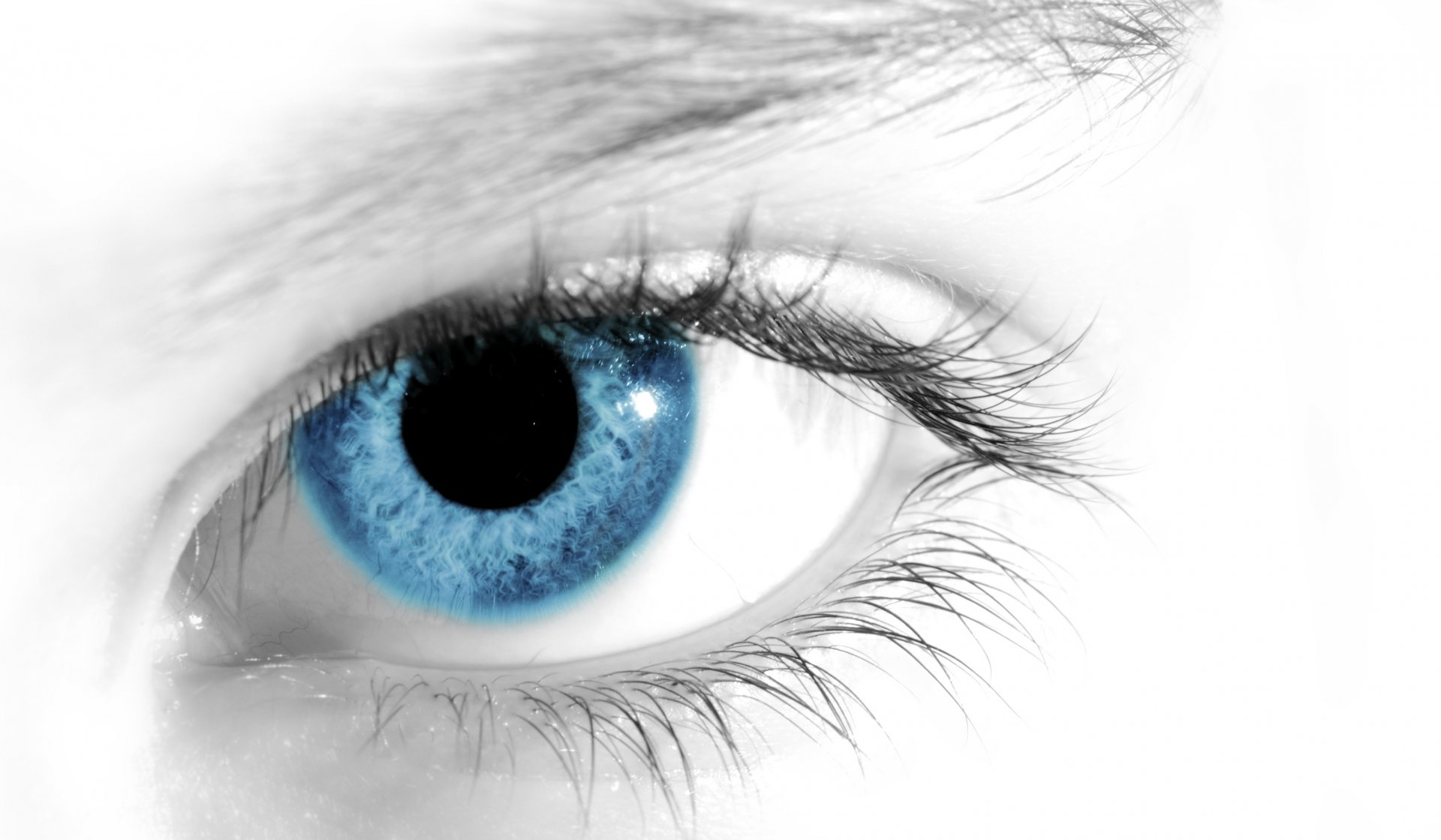 Eyes wallpapers. Красивые глаза. Голубые глаза. Глаза на прозрачном фоне. Глаза на белом фоне.