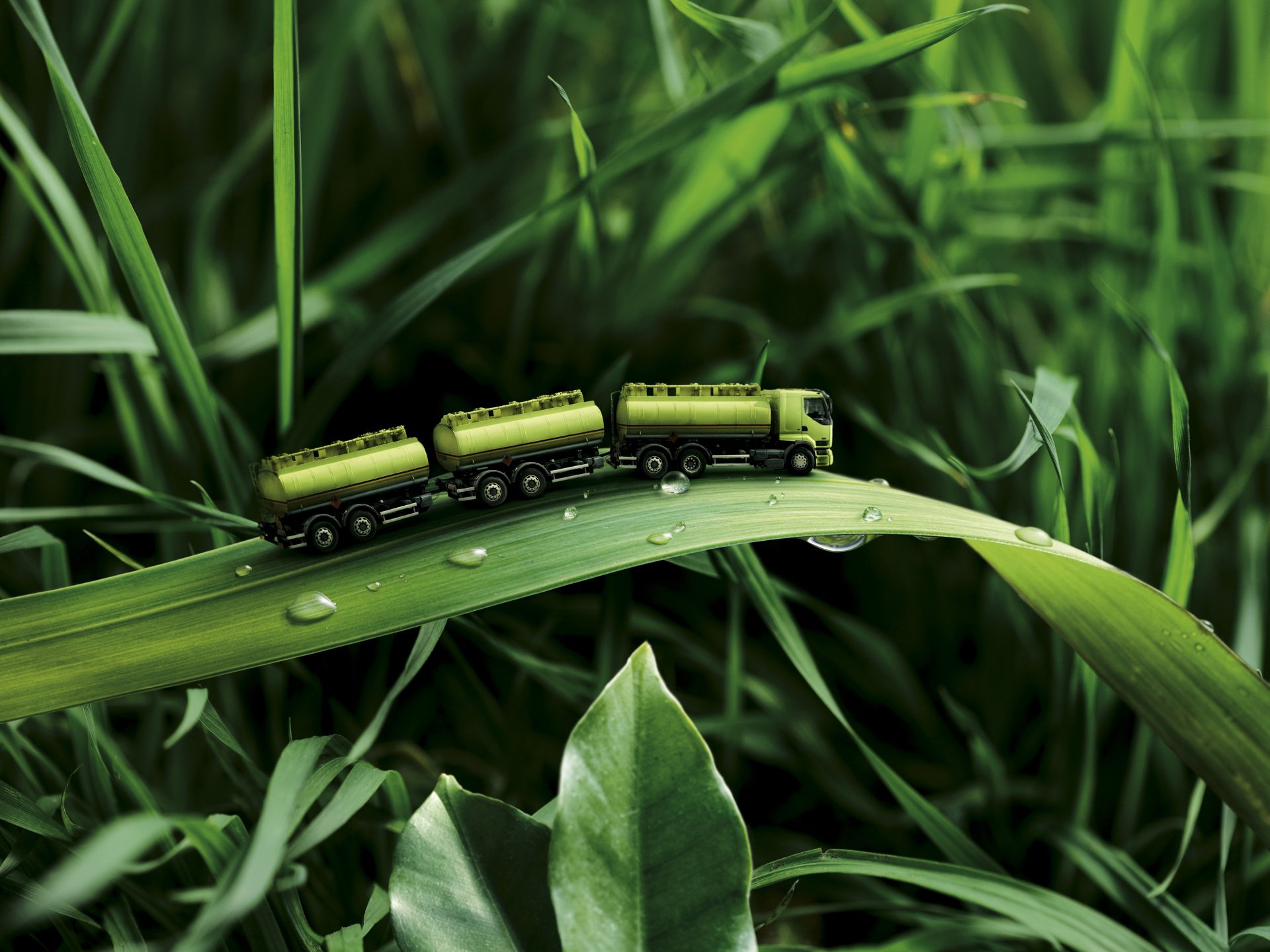 A highly detailed HD desktop wallpaper featuring a green toy truck with tanks on a leafy blade of grass adorned with water drops, surrounded by lush, manipulated grass.