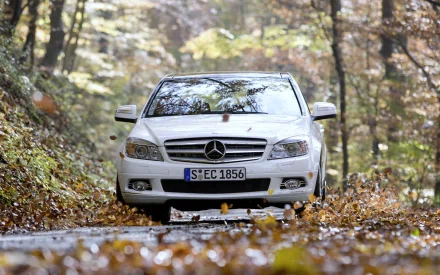 Front view of a white Mercedes vehicle (sedan) driving on a leaf-covered forest road — HD PC desktop wallpaper and background.