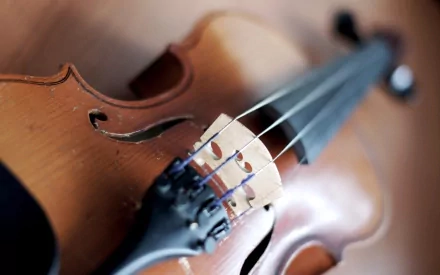 music violin HD Desktop Wallpaper | Background Image
