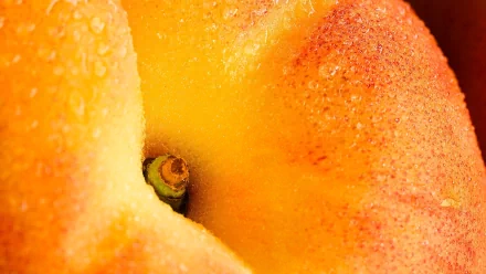 food peach HD Desktop Wallpaper | Background Image