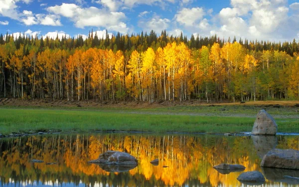 A vibrant scene of golden trees reflecting in a serene lake, framed by a clear blue sky and gentle clouds, capturing the beauty of nature in this HD desktop wallpaper.