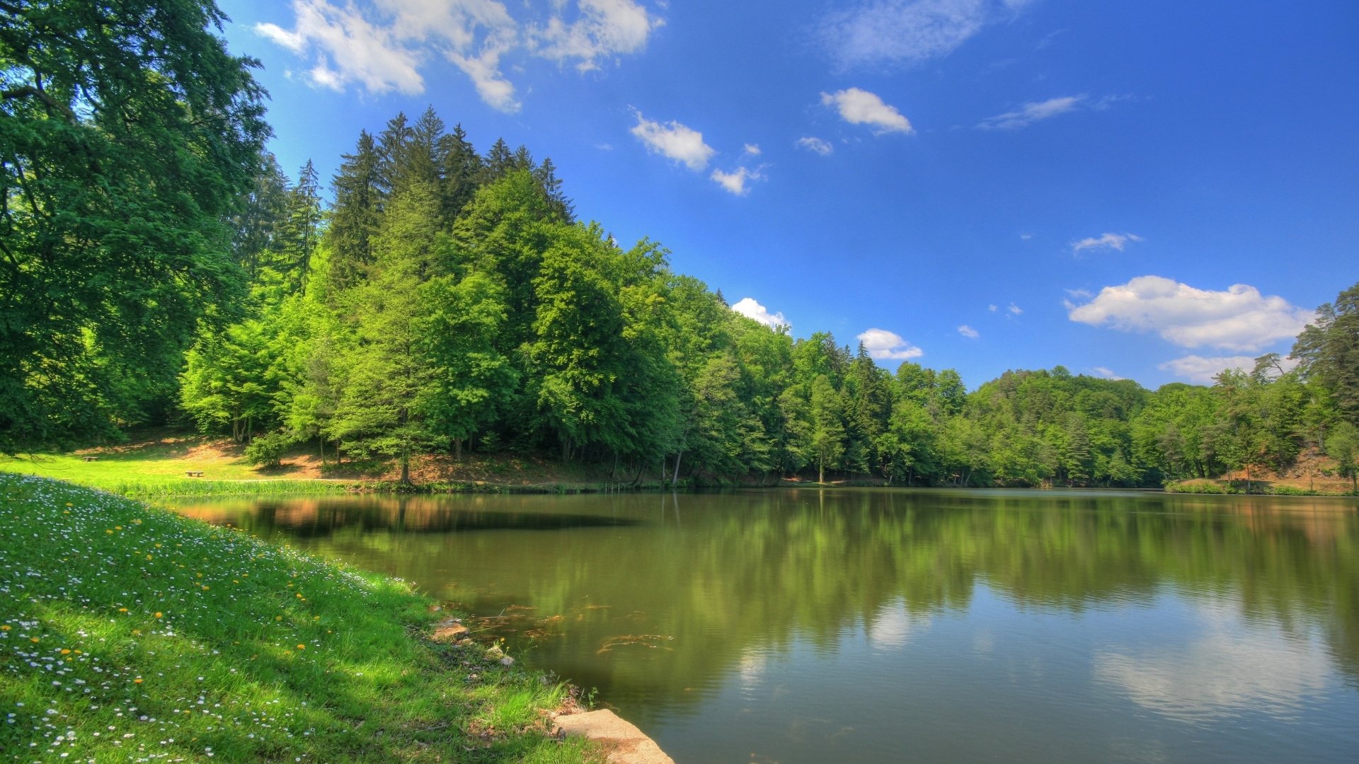 HD PC desktop wallpaper showcasing a serene lake surrounded by lush green trees under a partly cloudy blue sky.