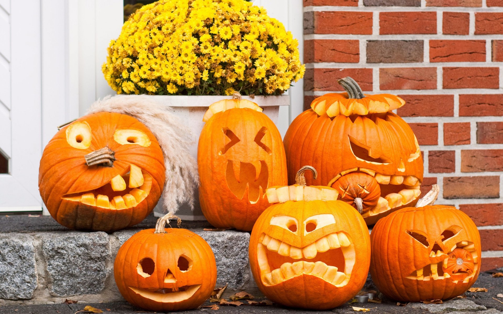 HD Halloween holiday desktop wallpaper featuring a display of six carved pumpkins with varied expressions, set against a brick wall and yellow chrysanthemums.