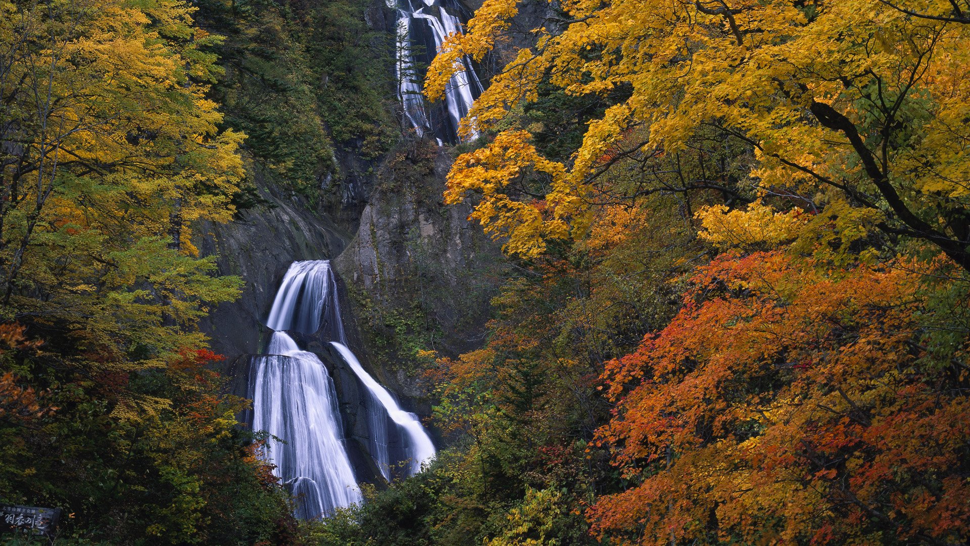 HD PC desktop wallpaper and background showing a multi-tiered waterfall cascading through a forest of vibrant autumn foliage.