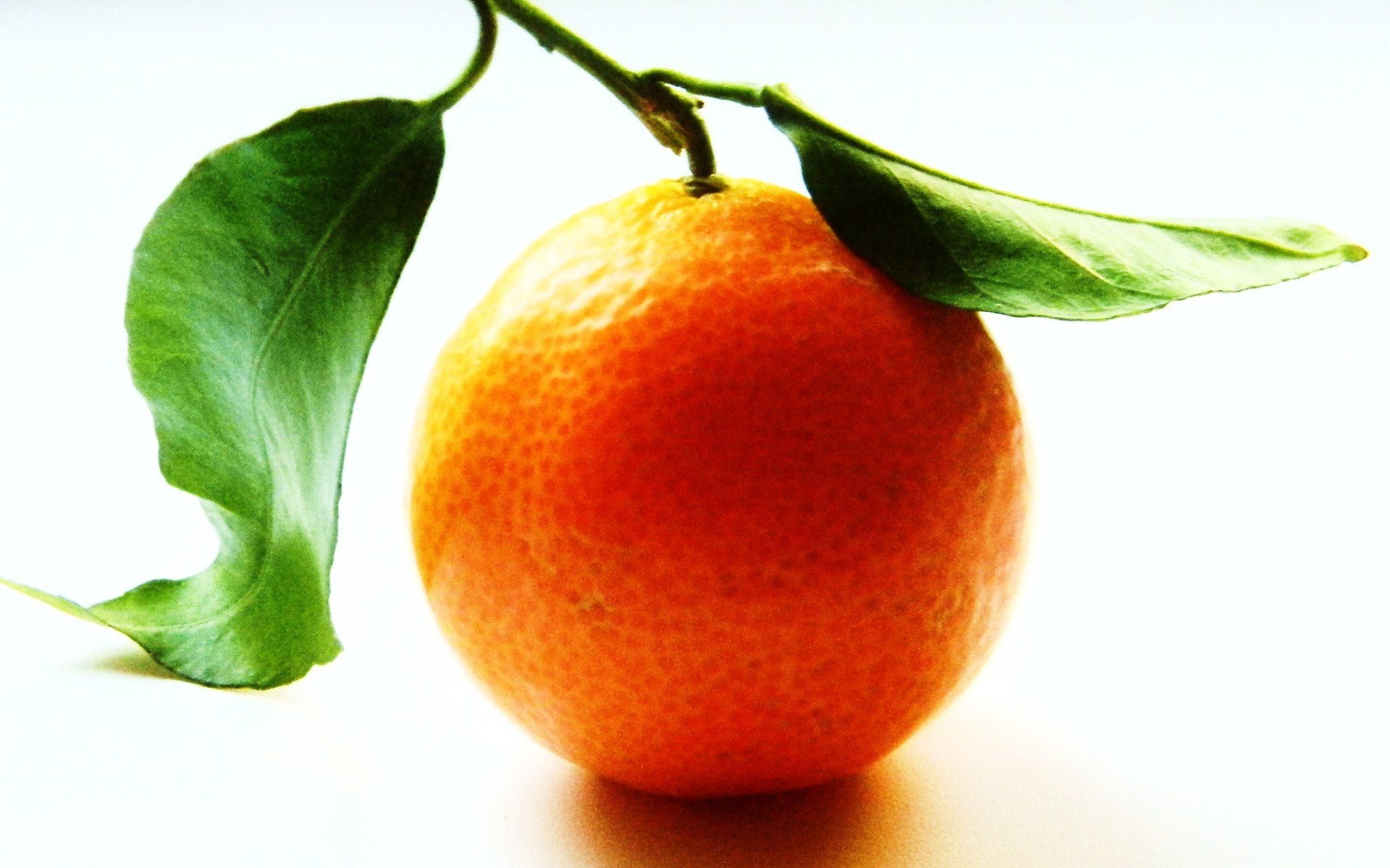 Download Food Orange HD Wallpaper