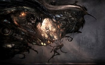 31 凤凰高清壁纸 桌面背景 Wallpaper Abyss