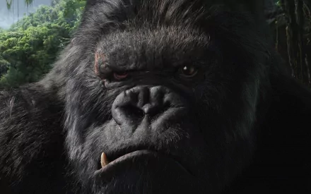 A close-up of a gorilla's face, inspired by King Kong from the 2005 movie, set against a lush green background, creating a striking HD desktop wallpaper.