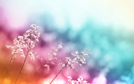nature plant HD Desktop Wallpaper | Background Image