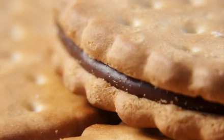 HD PC desktop wallpaper: close-up of a chocolate-filled biscuit sandwich resting on golden crackers, food-themed background.