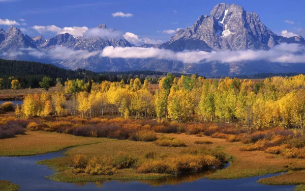 HD desktop wallpaper featuring a vibrant autumn landscape with colorful trees and a winding river in Grand Teton National Park beneath towering mountain peaks.