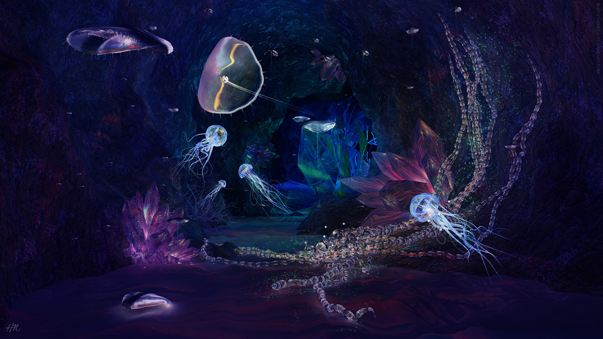 Sea Life HD Wallpaper | Background Image | 1920x1080 | ID ...