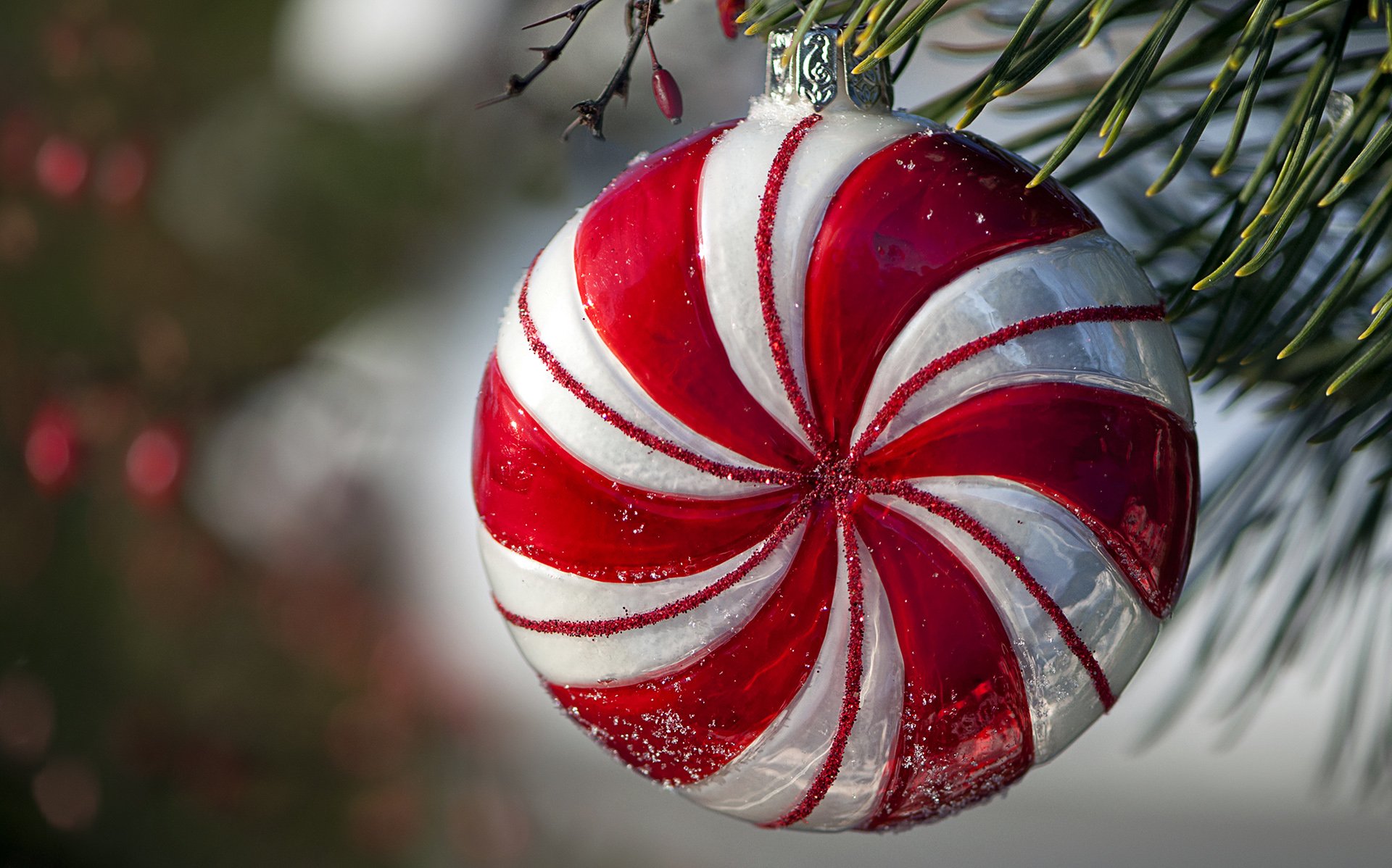 A close-up of a red and white striped Christmas ornament hanging from a pine branch, captured in high definition as a festive holiday desktop wallpaper background.