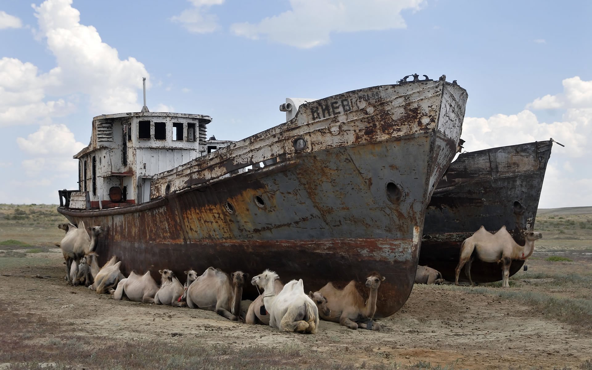 HD desktop wallpaper featuring a group of camels resting beside two old, rusted ships on a dry, barren landscape under a partly cloudy sky.