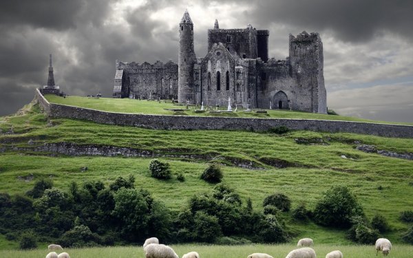 Man Made Rock Of Cashel Castles Ireland Historic Castle Landscape Nature Sheep Earth Countryside HD Wallpaper | Background Image