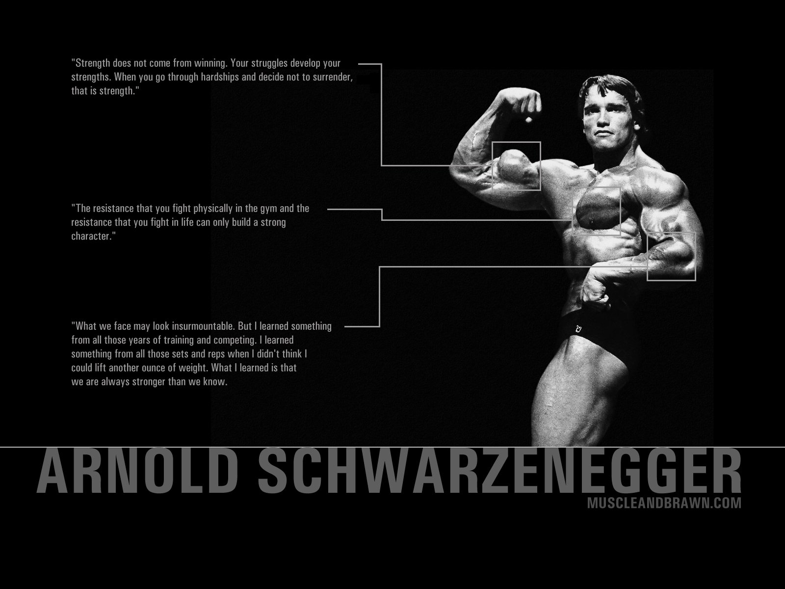 Arnold Schwarzenegger HD Wallpapers  Wallpaper Cave
