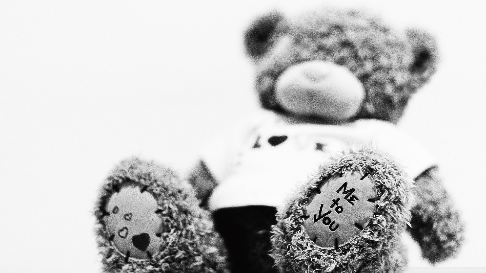 A close-up of a teddy bear with Me to You stitched on its paws, embodying love and affection. This artistic black-and-white image serves as a charming HD desktop wallpaper.