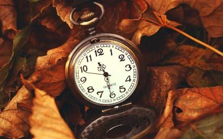 man made watch HD Desktop Wallpaper | Background Image