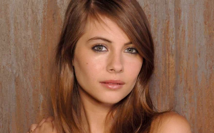 HD PC desktop wallpaper featuring a close-up portrait of celebrity Willa Holland with natural makeup and light brown hair against a textured brown background.