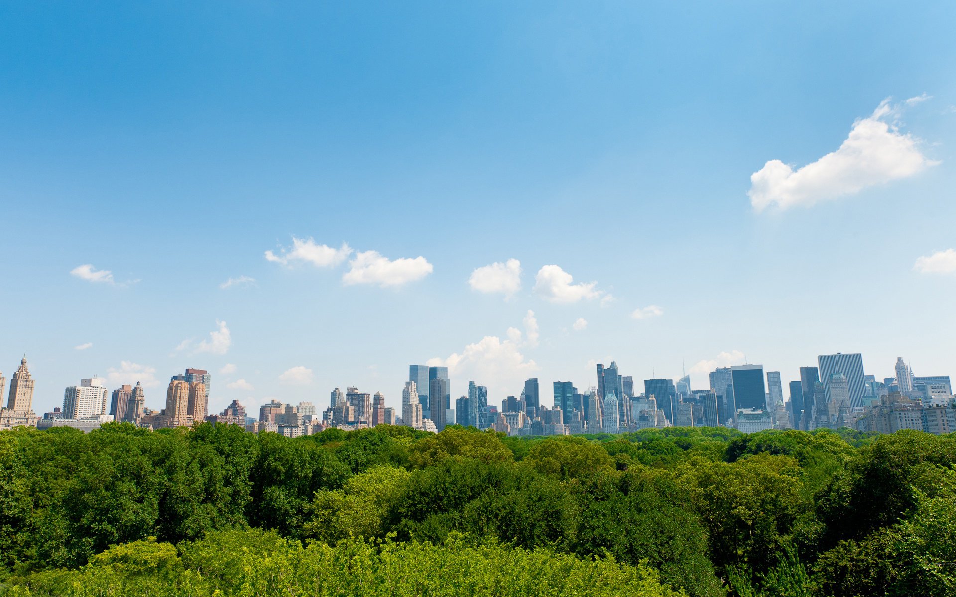 Download New York Manhattan Man Made City Central Park HD Wallpaper
