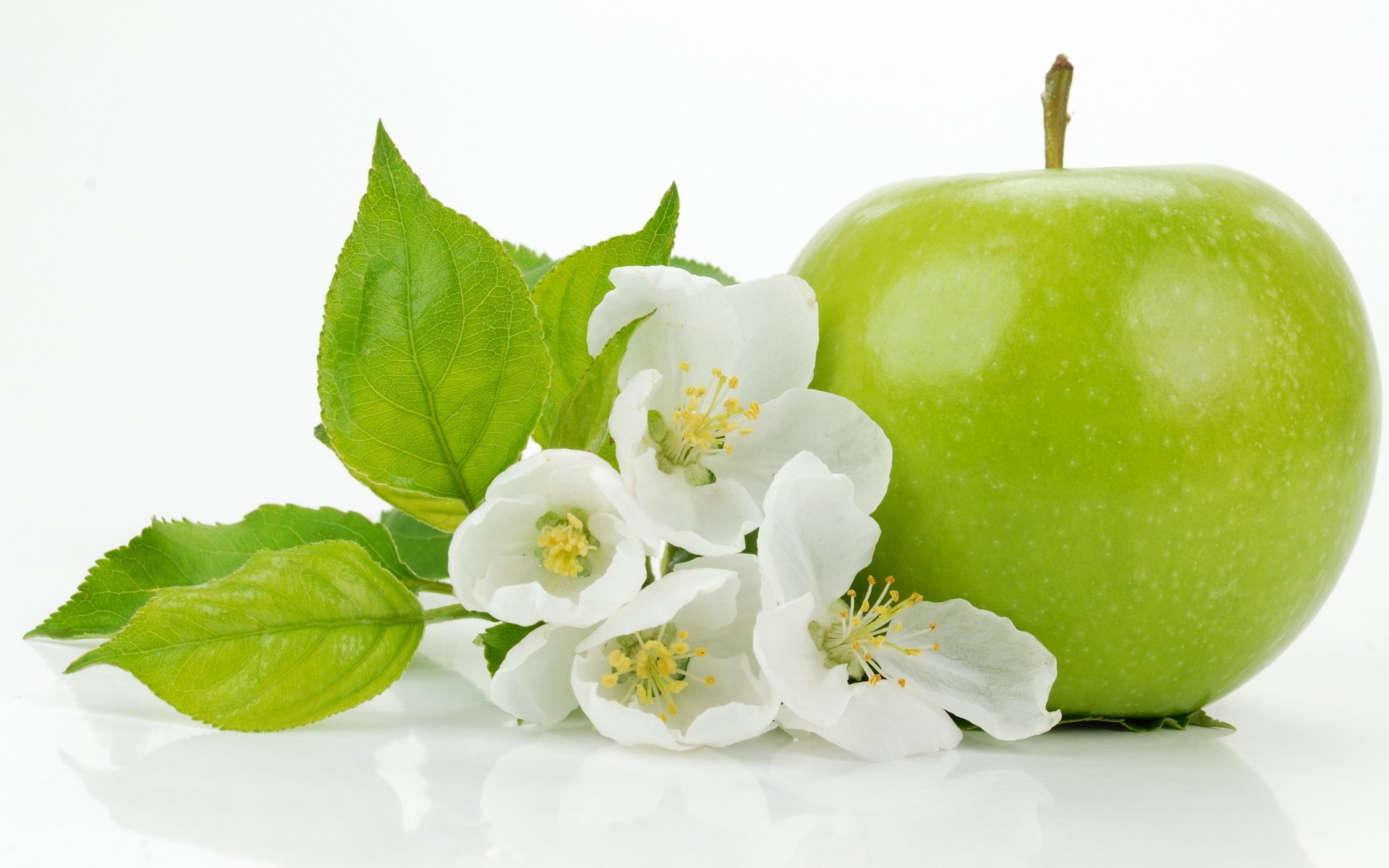 HD desktop wallpaper featuring a vibrant green apple with fresh green leaves and delicate white apple blossoms on a clean white background.