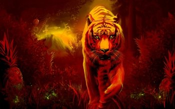 1027 Tiger HD Wallpapers | Backgrounds - Wallpaper Abyss - Page 18